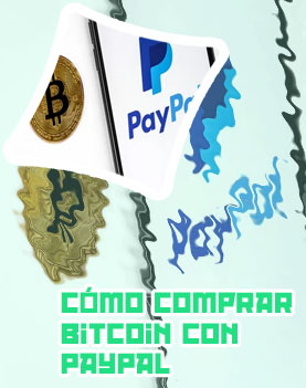 Btc paypal