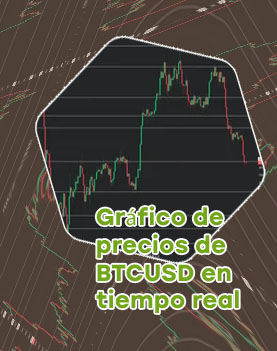 Precio bitcoin grafica tiempo real
