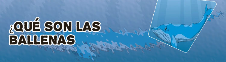 Que son las ballenas criptomonedas